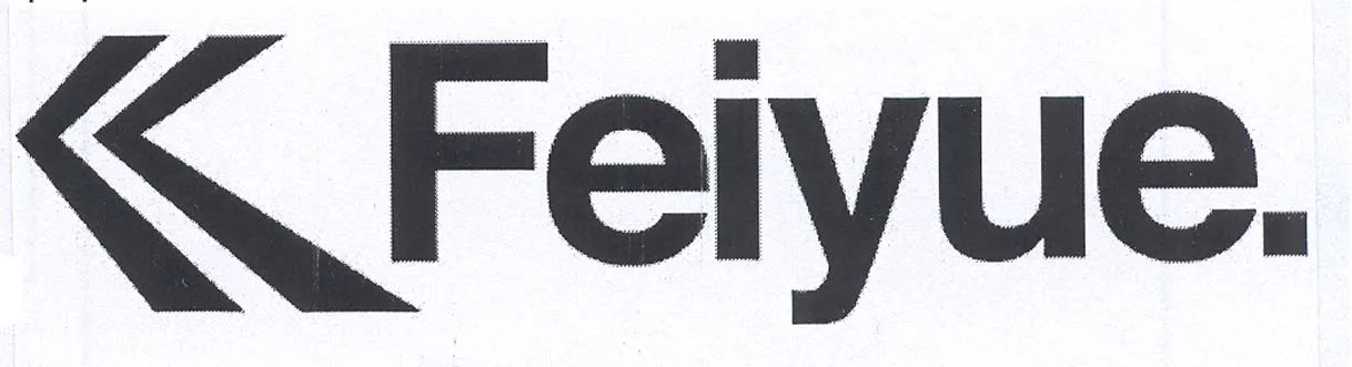FEIYUE