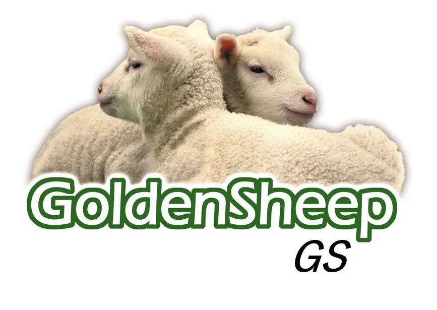 GOLDENSHEEP GS