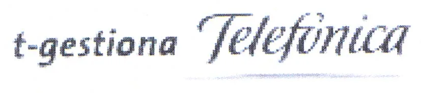 T-GESTIONA TELEFONICA