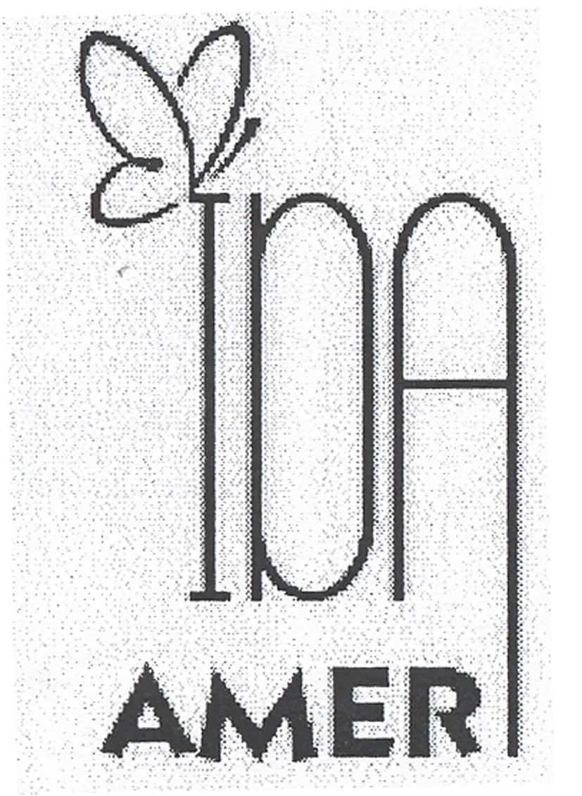 IDA AMER