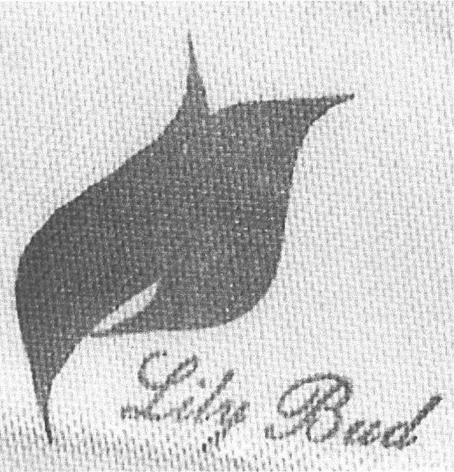LILY BUD