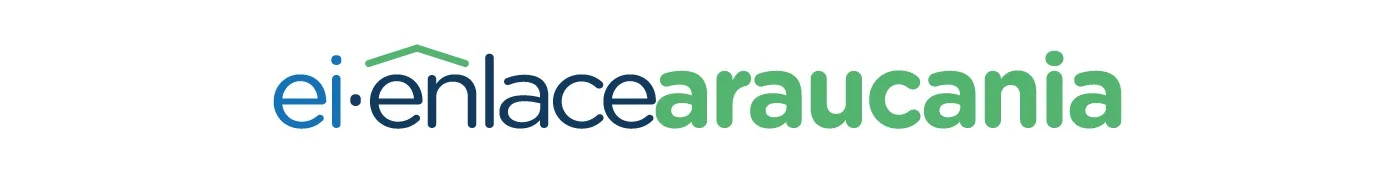 ei.enlacearaucania