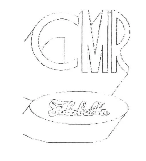 CMR FALABELLA
