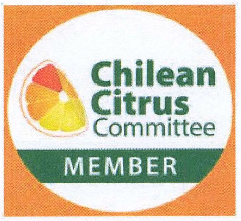 CHILEAN CITRUS COMMITTE MEMBER