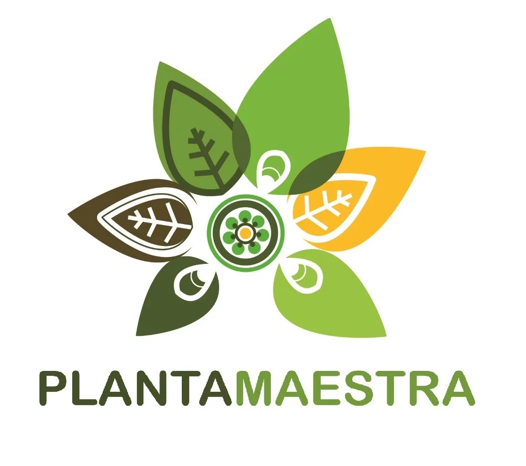 PLANTA MAESTRA
