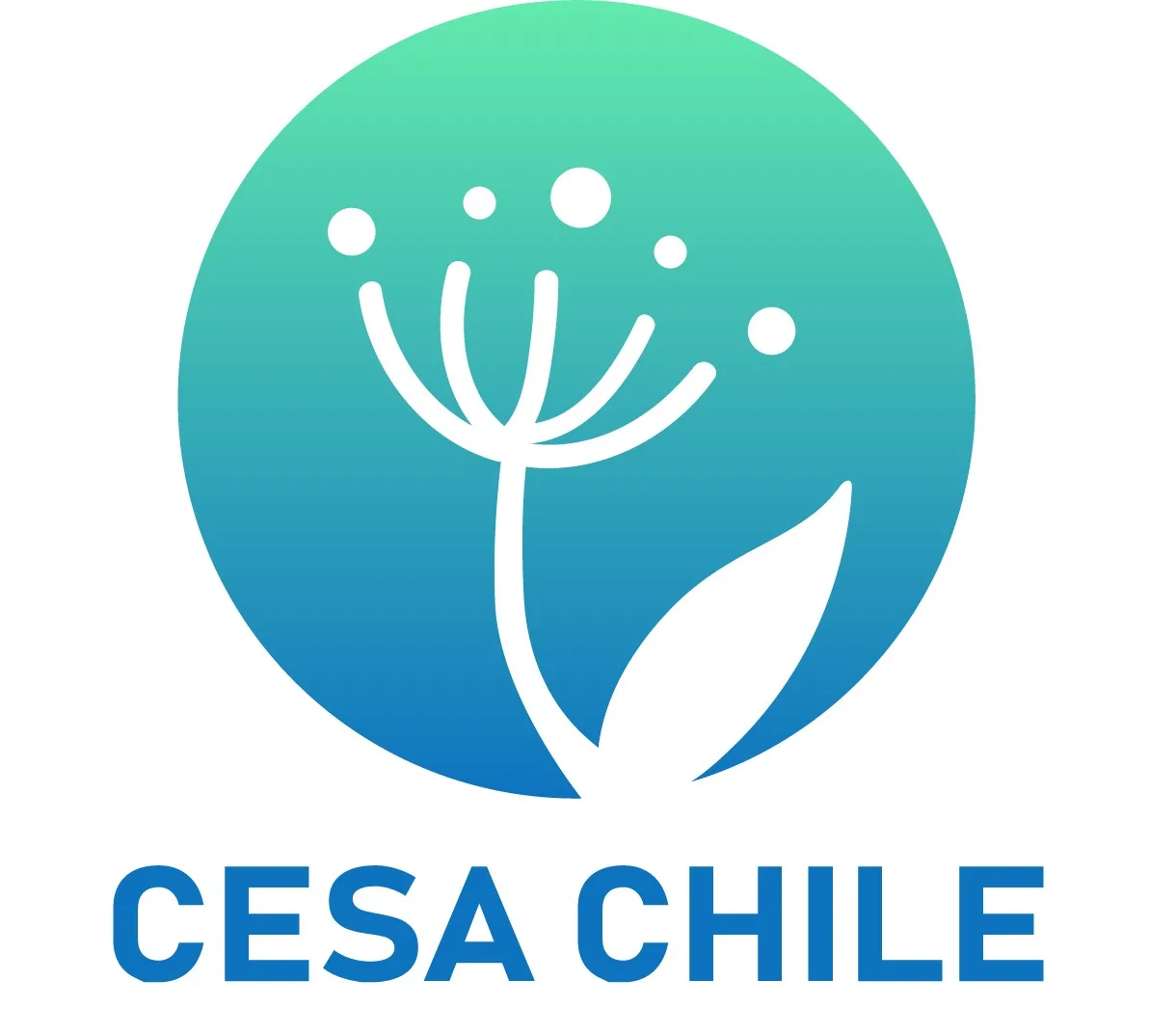 CESA CHILE