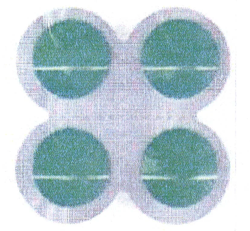 Acta 1166747