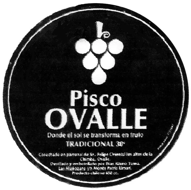PISCO OVALLE