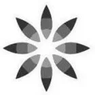 Acta 1226747