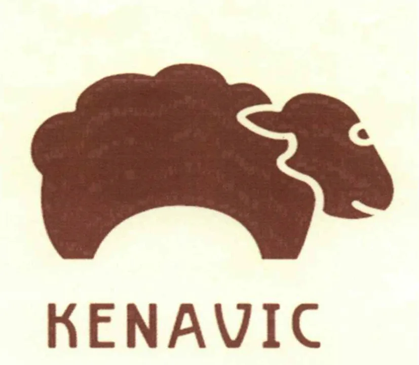 KENAVIC