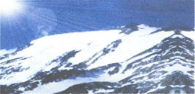 Acta 885748