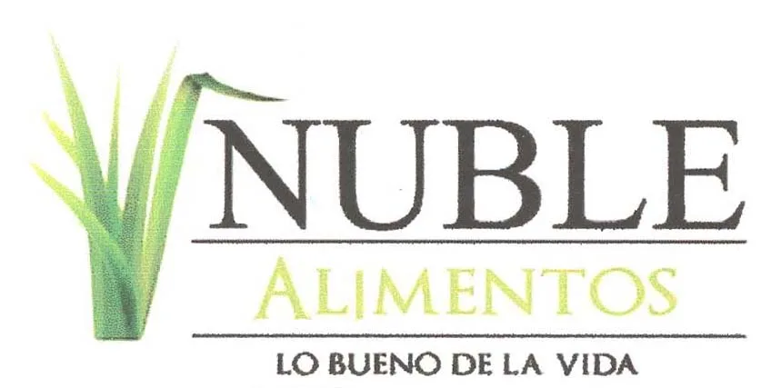 ÑUBLE ALIMENTOS LO BUENO DE LA VIDA