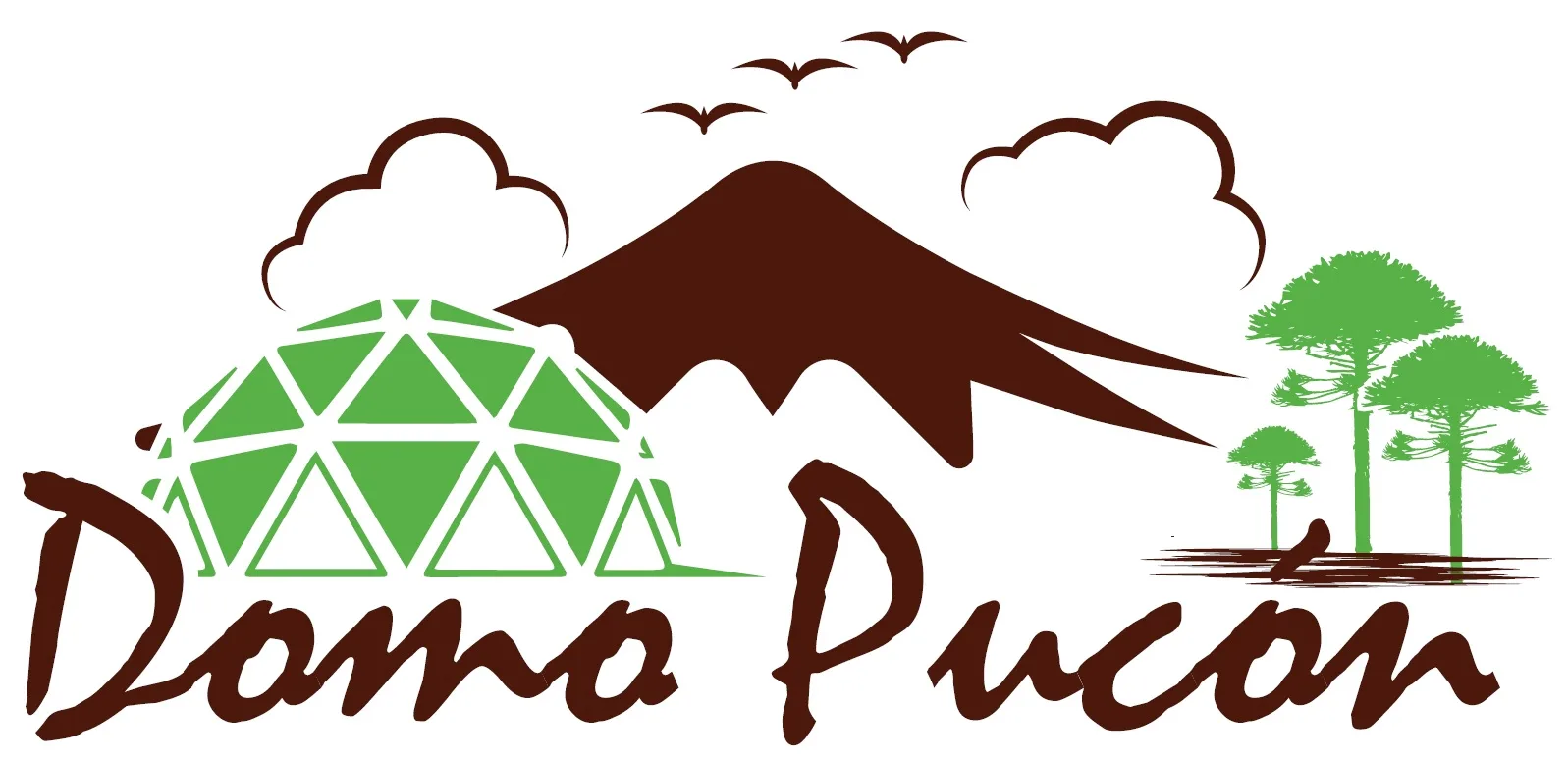 Domo Pucón