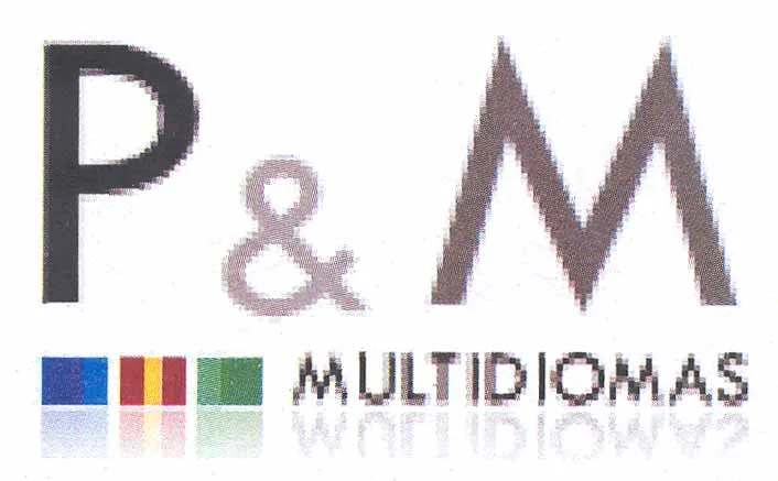 P & M MULTIDIOMAS