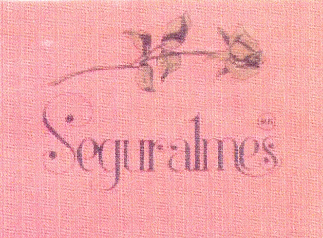 SEGURALMES