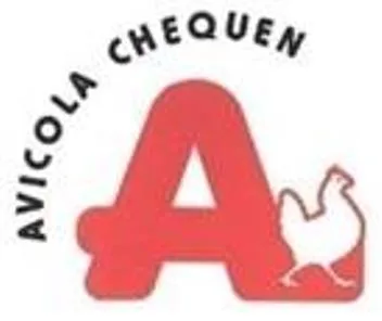 A AVICOLA CHEQUEN