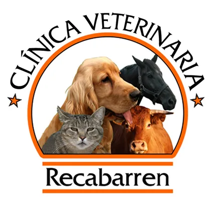 CLINICA VETERINARIA RECABARREN
