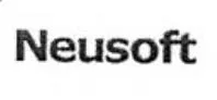 NEUSOFT