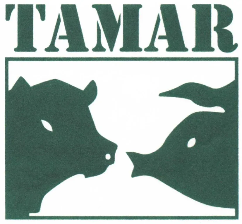 TAMAR