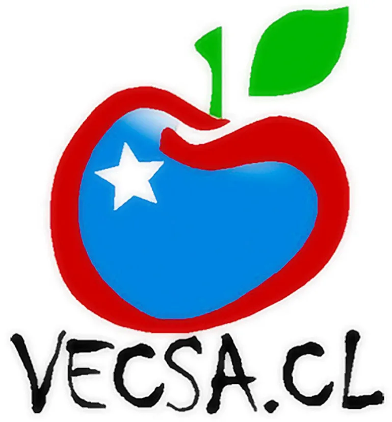 VECSA.CL