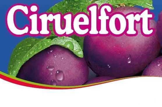 CIRUELFORT