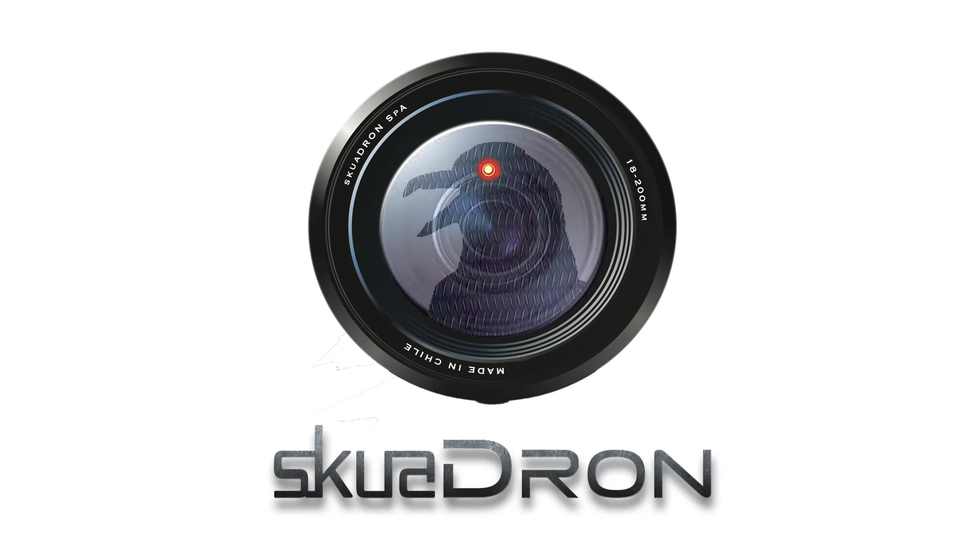 SkuaDron