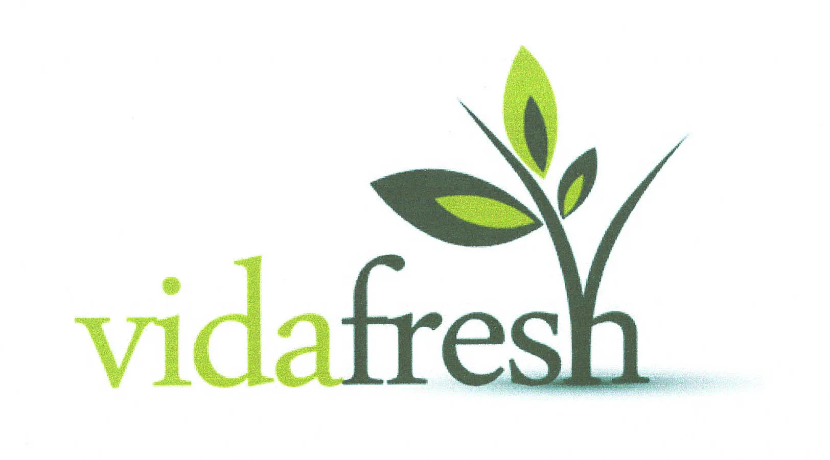 VIDAFRESH