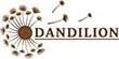DANDILION