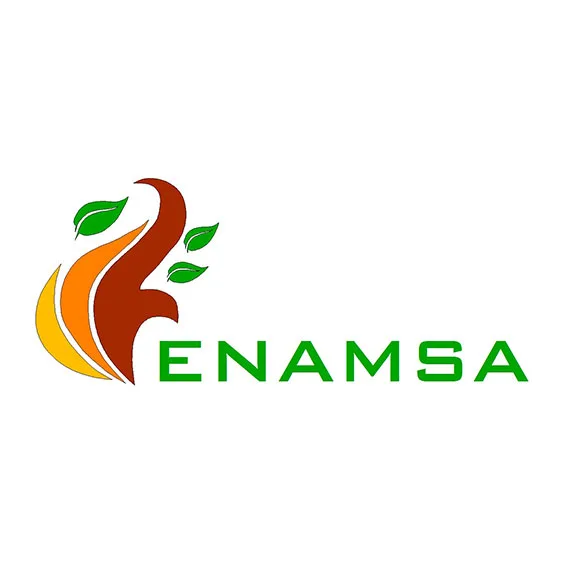ENAMSA
