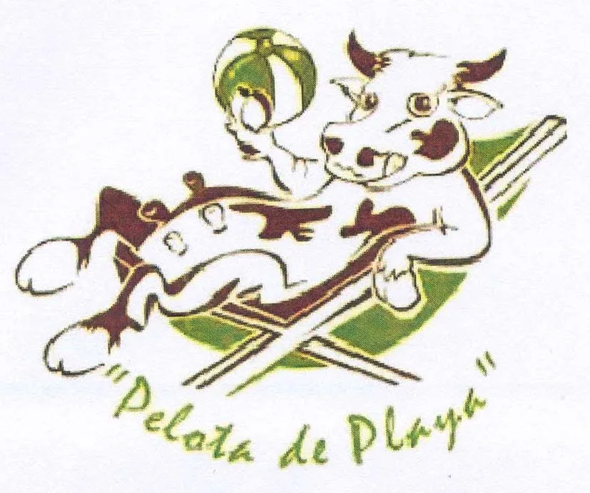 PELOTA DE PLAYA