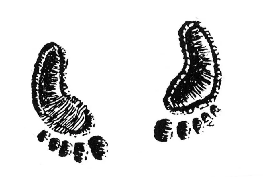 Acta 1159761