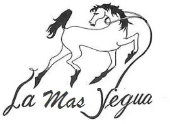 La mas yegua