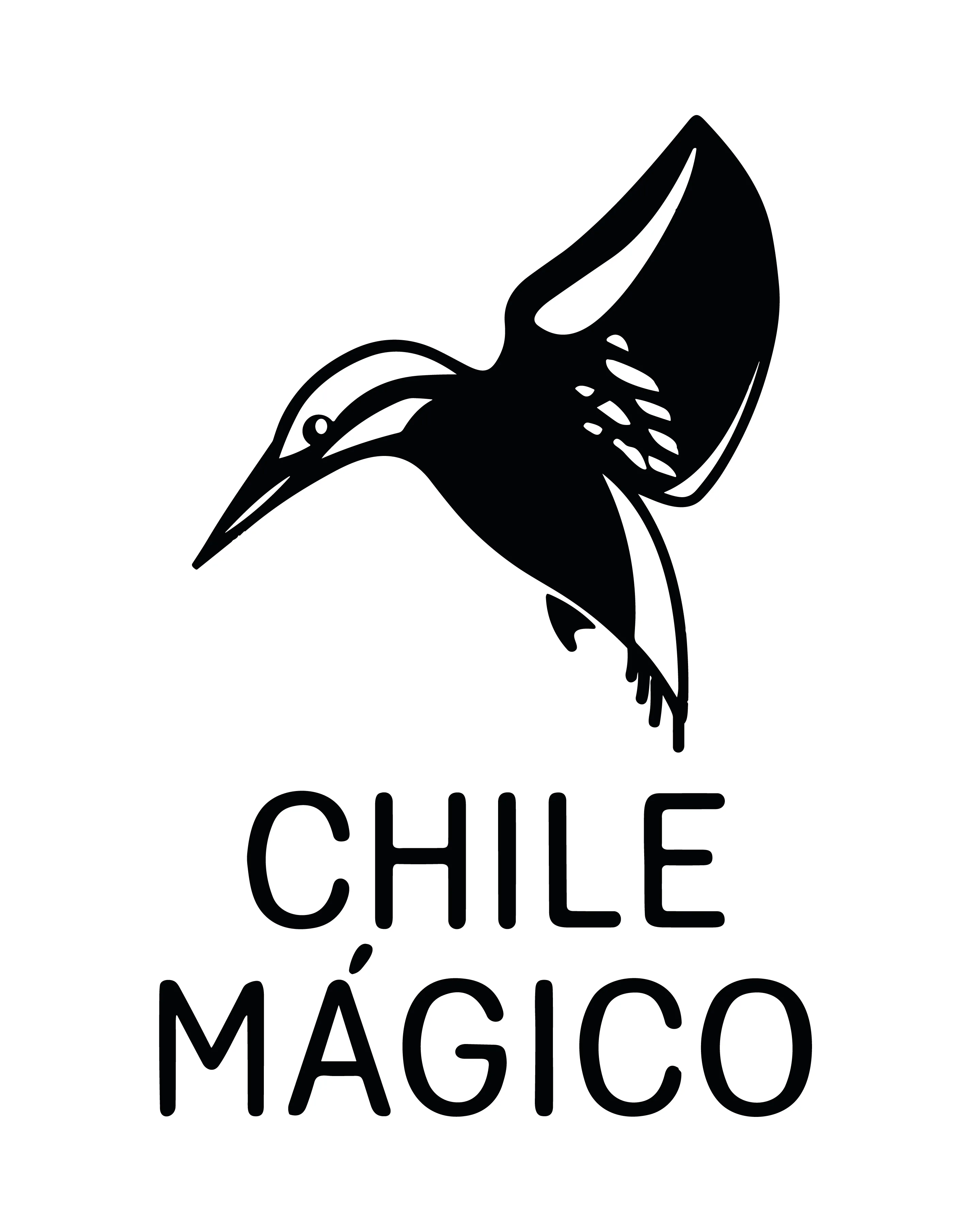 CHILE MÁGICO