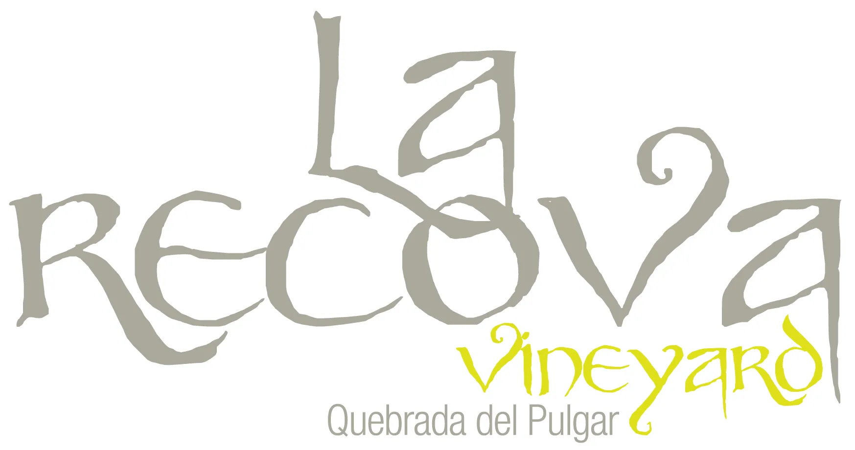 LA RECOVA VINEYARD QUEBRADA DEL PULGAR