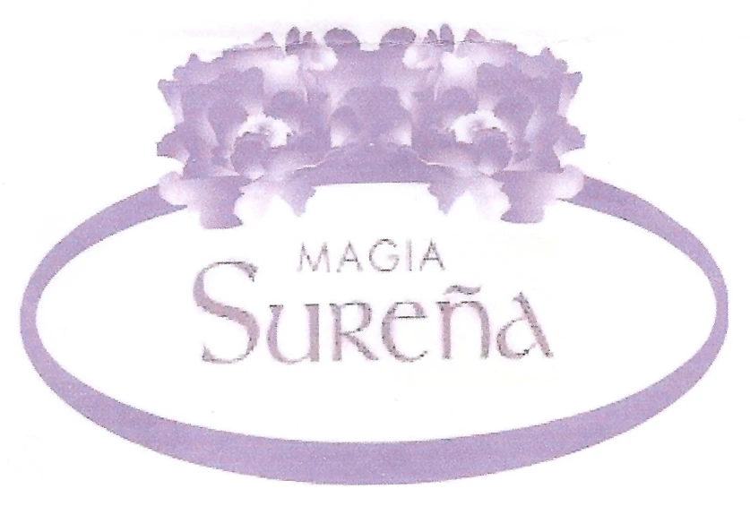 MAGIA SUREÑA