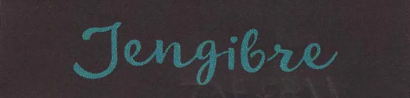 JENGIBRE