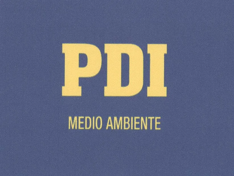 PDI MEDIO AMBIENTE