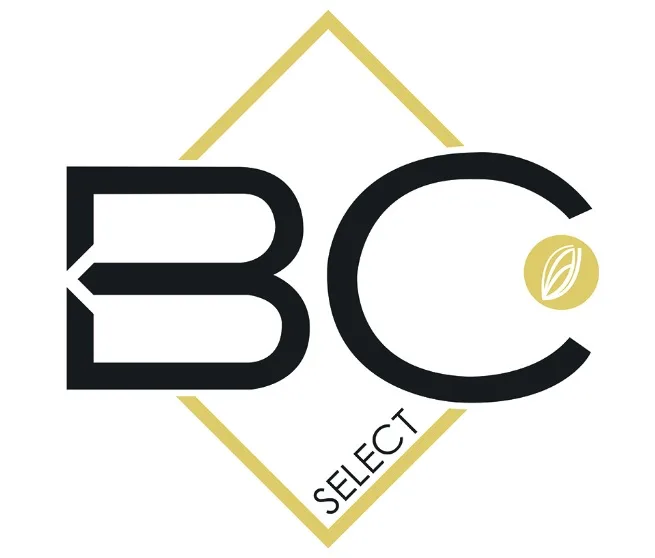 BC SELECT