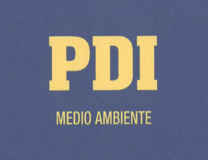 PDI MEDIO AMBIENTE