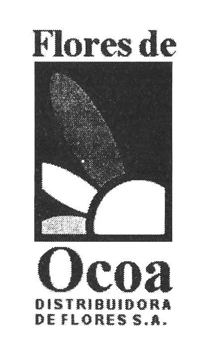 FLORES DE OCOA DISTRIBUIDORA DE FLORES S.A.