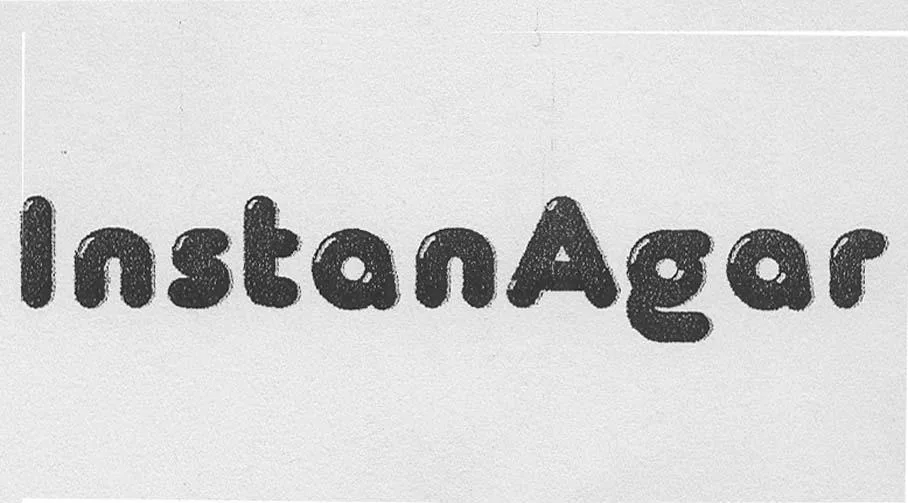 INSTANAGAR