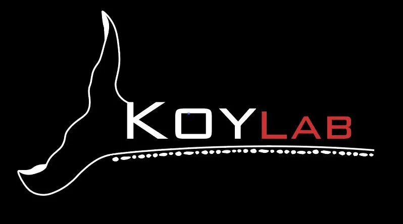 KOY LAB