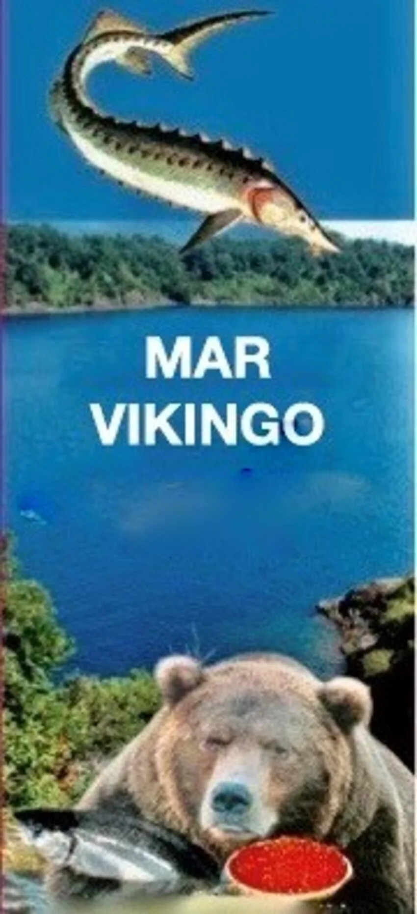 MAR VIKINGO