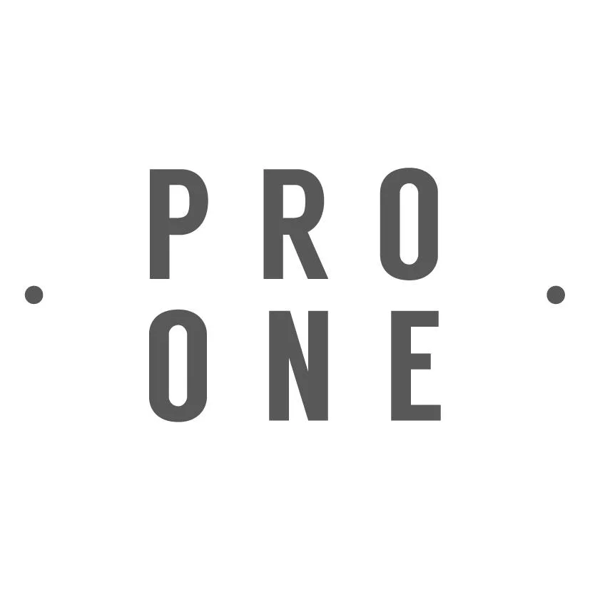 PRO ONE