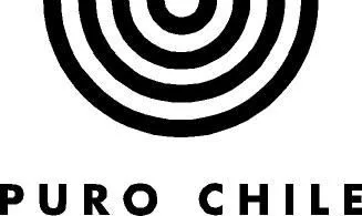 PURO CHILE