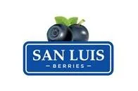 SAN LUIS BERRIES