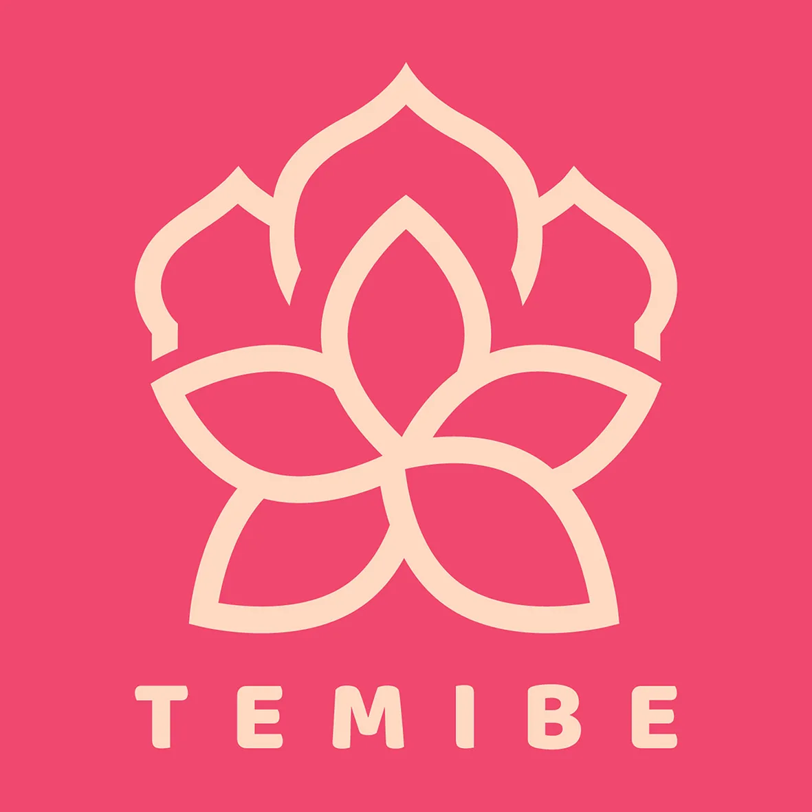 TEMIBE
