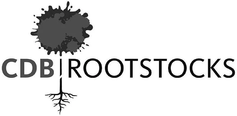 CDB ROOTSTOCKS