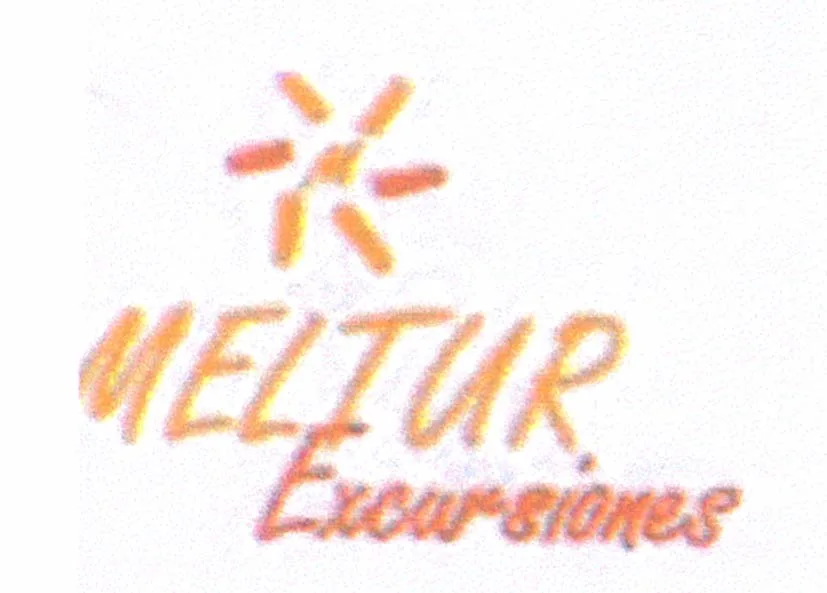 M MELTUR EXCURSIONES