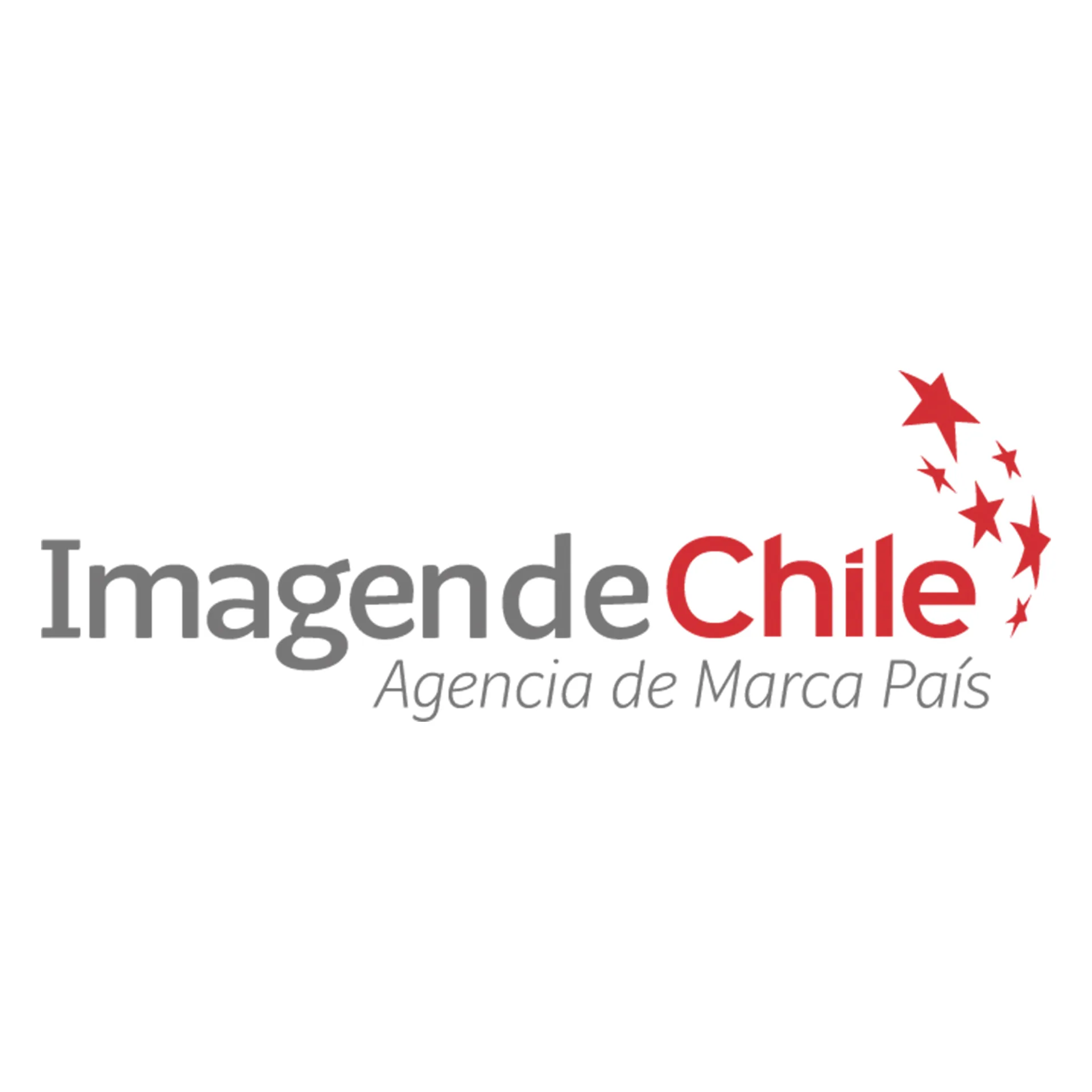 IMAGEN DE CHILE AGENCIA DE MARCA PAÍS